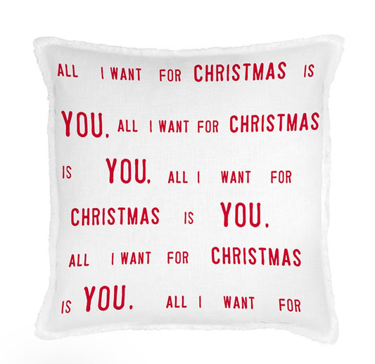 All I Want Euro Pillow