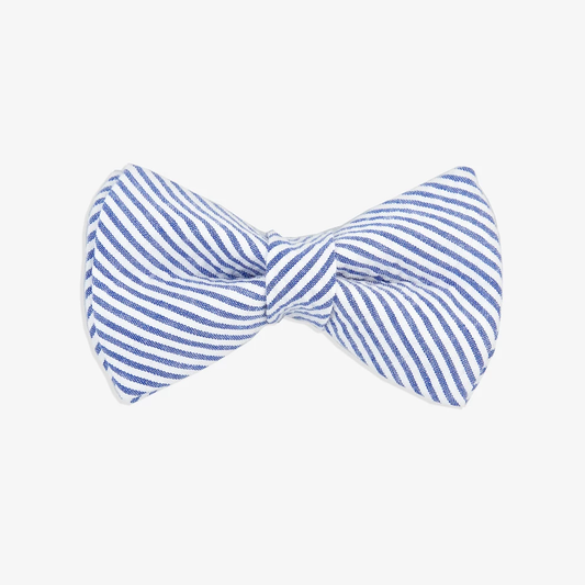 The Rover Boutique - Palm Springs Bow Tie
