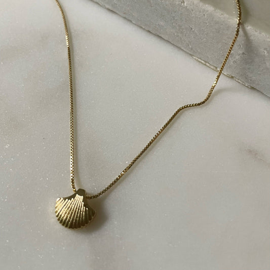 Tide is High Gold Filled Sea Shell Necklace