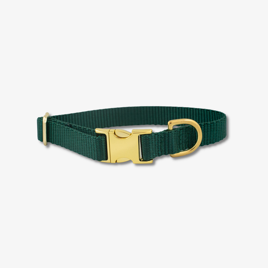 The Rover Boutique - Forest Dog Collar
